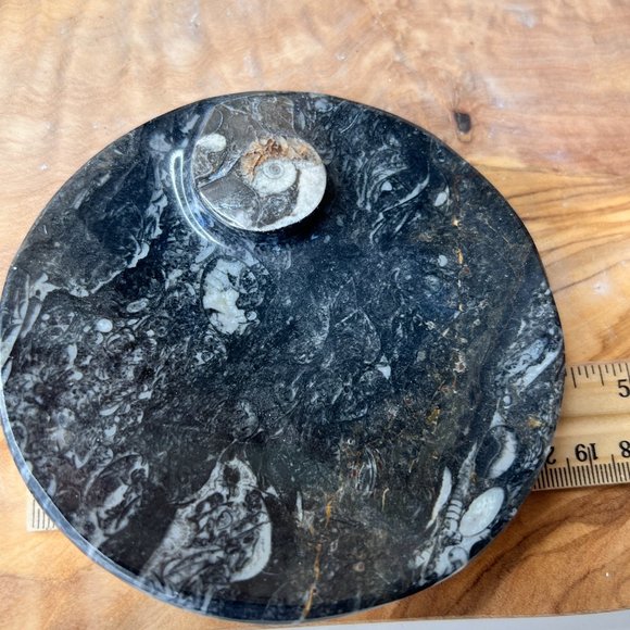 Genuine Orthoceras Fossil - Fossil Oval Ammonite Trinket dish from Morocco - Picture 3 of 11